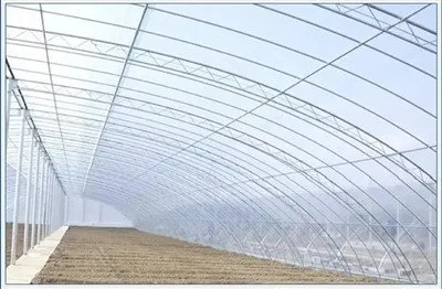 יריעות פלסטיק עבות לחממה